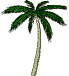 palme.gif - 2211 Bytes